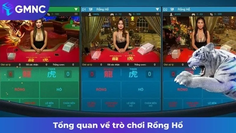 Tổng quan về trò chơi Rồng Hổ